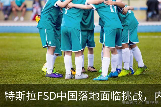 特斯拉FSD中国落地面临挑战，内部人士称谣言不实